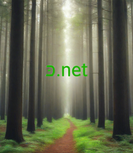 Load image into Gallery viewer, כּ , כּ.net, Bir hərfli domen, Bir simvollu domen, Bir rəqəmli domen, Ən unikal domen adları, Aktiv domenlər, Domen adı kataloqu, IDN domenləri, Əks auksion nədir? Domen Arxivi, Premium domen adları, Ümumi domen adları, Ən yaxşı domen adları, Super domen adları