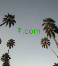 Load image into Gallery viewer, 𐤎 , 𐤎.com, IANA Accredited Registrar IDs, 826 Name.net, Inc., 828 Hetzner Online GmbH, 829 Anytime Sites, LLC, 831 Crisp Names, LLC, 835 KuwaitNET General Trading Co., 836 The Namespace Group Pty Ltd, 839 Realtime Register B.V., 840 Nicco Ltd., 841 Tiger Technologies LLC, 845 1800-website, LLC, 847 Hostlane, LLC