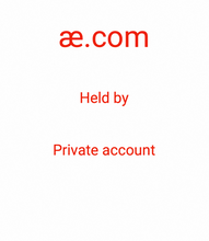 Load image into Gallery viewer, ӕ, ӕ.com