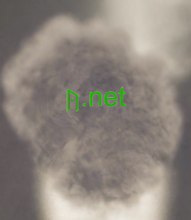 Cargar imagen en el visor de la galería, ᚤ, ᚤ.net, Ez dikarim navek domainê kirê bikim? Kirêkirina navek domainê bi gelemperî mehane pêk tê, li cihê ku karsaziya we ji bo kirêkirina navek domainê ku berê xwedan saziyek din e dide. 2-5.org danûstendina navên domainê zû û ewledar peyda dike.