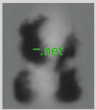Load image into Gallery viewer, ⲻ, ⲻ.net, Are there any 1 letter TLDs? Yes, it is possible to have single character for top level domain name. 2-5.org has the most single-domain holder. If you need a Brandable or Corporational Domain name, you can consider to lease or redirect to your exist website. How short can domains be? 3 characters or less.