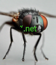 Load image into Gallery viewer, ꙿ, ꙿ.net, Como atopar un nome de dominio curto? Busca e busca de nomes de dominio curtos. Que é unha redirección DNS? Unha redirección DNS permítelle apuntar un nome de dominio a outro, logrando o mesmo resultado que se cambiase os servidores de nomes do seu dominio orixinal. Redirixe un dominio curto a outro mediante 2-5.org