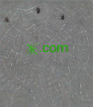 Cargar imagen en el visor de la galería, ᛤ, ᛤ.com, URL shortener, Shortened URLs, Link shortening, URL redirection, URL masking, Custom short links, SEO-friendly URLs, Canonical URLs, Link tracking, Social media sharing, User engagement, Click-through rates (CTRs), Link analytics, Backlink management, Link retargeting, How to shorten an URL? XXX Adult Domains