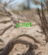 Cargar imagen en el visor de la galería, ϫ, ϫ.net, Temukan tempat Anda secara online. Pilih dari lebih dari 3000 domain. Dapatkan dukungan 24/7 dari manusia nyata. Mengapa 2-5.org? - Kualitas, memenuhi keandalan. - Lebih profesional. Kurang rumit. - Nilai tambah. Tidak ada biaya tambahan. - Domain kompatibel dengan semua browser.