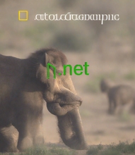 Cargar imagen en el visor de la galería, ᚢ, ᚢ.net, Мен домендик аталышты ижарага алсам болобу? Домендик аталышты ижарага алуу, адатта, ай сайын ишке ашат, анда сиздин бизнесиңиз башка уюмга таандык домендик аталышты ижарага алуу үчүн төлөйт. 2-5.org домендик аталыштарды тез жана коопсуз ижарага берет.