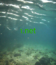 Cargar imagen en el visor de la galería, ⱜ, ⱜ.net, 1 अक्षर डोमेन, 1 वर्ण डोमेन, 1 अंक डोमेन, सबसे छोटा डोमेन नाम, एक डोमेन नाम पट्टे पर, डोमेन पुनर्निर्देशन, यूनिकोड डोमेन, डोमेन नीलामी, सक्रिय डोमेन नाम, लघु डोमेन, डोमेन नाम संग्रह, सबसे सस्ता डोमेन नाम, सबसे अच्छे डोमेन नाम, अद्भुत डोमेन नाम