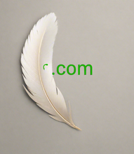 Load image into Gallery viewer, ꜥ, ꜥ.com, Cumu truvà un nome di duminiu cortu? Ricerca è cercatore di nomi di duminiu brevi. Cosa hè un redirect DNS? Un redirect DNS vi permette di indicà un nome di duminiu à un altru, ottenendu u listessu risultatu cum'è s'ellu avia cambiatu i servitori di nome di u vostru duminiu originale. Redirige un duminiu cortu à un altru duminiu cù 2-5.org