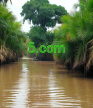 Load image into Gallery viewer, ẟ, ẟ.com, 1-single letter domain names, Available single-letter domains, The shortest domain names available.