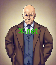 Cargar imagen en el visor de la galería, 𐊌, 𐊌.net, Accredited Registrar IDs, 2917 Aiming Limited, 3216 Nimzo 98, LLC, 3219 Zhengzhou Business Technology Co., Ltd., 3220 Swizzonic Ltd., 3221 Overcasts Limited, 3222 Domainipr Limited, 3223 Xiamen Booksir Qiyoutong Technology Co., Ltd., 3224 Registrator Domenov LLC, 3225 Knet Registrar Co., Ltd