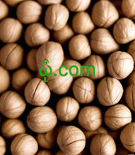 Load image into Gallery viewer, ᾦ, ᾦ.com, Single letter .com domain names are very rare. They aren't just limited to the 26 letters of the alphabet. What is smallest valid domain name? You can redirect or lease that one character domain at a low price. How can someone get a single character domain? How to get a one-letter domain? DNS, SCDNs, 2-5.org