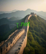 Load image into Gallery viewer, ꞁ, ꞁ.net, ווי צו געפֿינען אַ קורץ פעלד נאָמען? קורץ פעלד נאָמען זוכן & געפֿינען. וואָס איז אַ DNS רידערעקט? א דנס רידערעקט אַלאַוז איר צו פונט איין פעלד נאָמען צו אנדערן, דערגרייכן די זעלבע רעזולטאַט ווי אויב איר האָט געביטן דיין אָריגינעל פעלד נאָמען סערווערס. רידערעקט אַ קורץ פעלד צו אן אנדער פעלד ניצן 2-5.org