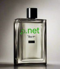Load image into Gallery viewer, ꝓ, ꝓ.net, E fa'afefea ona su'e se igoa fa'apitonu'u? Su'e igoa ole igoa pu'upu'u & su'e. O le a le DNS redirect? Ole DNS redirect e mafai ai ona e fa'asino le igoa ole tasi ile isi, ma maua ai le i'uga tutusa e pei ua e suia lau igoa ole igoa muamua. Toe fa'asa'o se vaega pu'upu'u ile isi fa'aoga ile 2-5.org