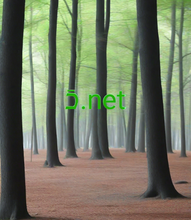 Cargar imagen en el visor de la galería, כֿ , כֿ.net, Дамен з адной літарай, дамен з адным сімвалам, дамен з адной лічбай, самыя унікальныя даменныя імёны, актыўныя дамены, каталог даменных імёнаў, дамены IDN, што такое зваротны аўкцыён? Архіў даменаў, прэміум-даменныя імёны, агульныя даменныя імёны, лепшыя даменныя імёны, супердаменныя імёны