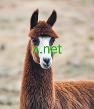 Cargar imagen en el visor de la galería, ᴧ, ᴧ.net, Improve your search engine rankings, How can SEO be improved? What are the 3 steps to successful SEO? Can you improve SEO yourself? How do you build effective SEO? Five Ways to Improve Your Site's Ranking (SEO), 11 Steps to Improve Your Rankings, Boost Your SEO Rankings With These Short Domain Names, 2-5 Domains