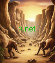 Cargar imagen en el visor de la galería, ꭾ, ꭾ.net, 1 अक्षर डोमेन, 1 अक्षर डोमेन, 1 अंक डोमेन, सबसे छोटा डोमेन नाम, एक डोमेन नाम पट्टा पर, डोमेन पुनर्निर्देशन, यूनिकोड डोमेन, डोमेन नीलामी, सक्रिय डोमेन नाम, लघु डोमेन, डोमेन नाम संग्रह, सबसे सस्ता डोमेन नाम, सबसे मस्त डोमेन | नाम, अद्भुत डोमेन नाम