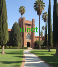 Cargar imagen en el visor de la galería, ᵾ, ᵾ.net, Lithini igama lesizinda kunye nokusingatha? Umahluko omkhulu phakathi kwesizinda kunye nokubamba kukuba i-domain yidilesi, evumela isivakashi ukuba sifumane kalula iwebhusayithi yakho kwi-intanethi, ngelixa ukusingathwa kulapho iifayile zewebhusayithi zigcinwa khona. I-2-5.org ibonelela ngenkonzo yegama lesizinda.