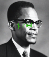 Cargar imagen en el visor de la galería, ᚾ, ᚾ.net, Zein da domeinu-izena eta hostinga? Domeinuaren eta hostingaren arteko desberdintasun nagusia da domeinua helbidea dela, eta horri esker bisitariari zure webgunea sarean erraz aurkitzea da, hostinga webgunearen fitxategiak gordetzen diren bitartean. 2-5.org domeinu-izenen zerbitzua eskaintzen dizu.