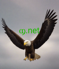 Cargar imagen en el visor de la galería, ϣ, ϣ.net, Najděte si své místo online. Vyberte si z více než 3000 domén. Získejte 24/7 podporu od skutečných lidí. Proč 2-5.org? - Kvalita, spolehlivost. - Profesionálnější. Méně komplikované. - Přidaná hodnota. Žádné další náklady. - Domény jsou kompatibilní se všemi prohlížeči.