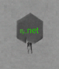 Load image into Gallery viewer, ꝳ, ꝳ.net, Trebam li domenu za e-poštu? Možete izraditi profesionalnu adresu e-pošte bez potrebe za web stranicom, a možete to učiniti sa ili bez web hostinga. Upit o domeni, Jeftini jednoslovni nazivi domena, Mikrodomene, Trendovi imena domena, Koja je domena najbolja? Kada odlučujete o ekstenziji domene, trebali biste gotovo uvijek odabrati .com