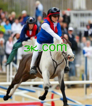 Load image into Gallery viewer, ꚅ, ꚅ.com, Yadda ake nemo ɗan gajeren sunan yanki? Binciken gajeriyar sunan yanki & mai nema. Menene turawa DNS? Canja wurin DNS yana ba ku damar nuna sunan yanki ɗaya zuwa wani, samun sakamako iri ɗaya kamar kun canza sabar sunan yankinku na asali. Miyar da ɗan gajeren yanki zuwa wani yanki ta amfani da 2-5.org