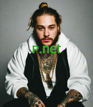 Cargar imagen en el visor de la galería, ꮲ, ꮲ.net, Yksikirjaiminen verkkotunnus, yksimerkkinen verkkotunnus, yksinumeroinen verkkotunnus, harvinaisimmat verkkotunnukset, verkkotunnuksen uudelleenohjaus, verkkotunnuksen leasing, Punycode-verkkotunnukset, käänteinen huutokauppa, saatavilla olevat verkkotunnukset, verkkotunnusluettelo, erinomaiset verkkotunnukset, parhaat verkkotunnukset, upeat verkkotunnukset