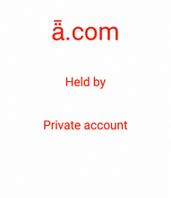 Load image into Gallery viewer, ǟ.com