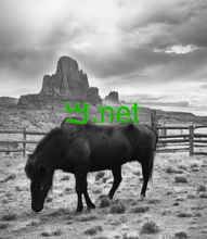 Load image into Gallery viewer, ࠌ , ࠌ.net, List of Top-Level Domains, Valid TLD Extensions, .LLC , .LLP , .LOAN , .LOANS , .LOCKER , .LOCUS , .LOFT , .LOL , .LONDON , .LOTTE , .LOTTO , .LOVE , .LPL , .LPLFINANCIAL , .LR , .LS , .LT , .LTD , .LTDA , .LU , .LUNDBECK , .LUXE , .LUXURY , .LV , .LY , .MA , .MACYS , .MADRID , .MAIF , .MAISON , .MAKEUP