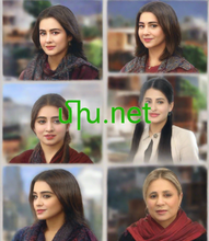 Cargar imagen en el visor de la galería, մխ, մխ.net, Домен со една буква, домен со еден знак, едноцифрен домен, најретките имиња на домени, пренасочување име на домен, лизинг домен, домени Punycode, обратна аукција, достапни домени, каталог на домени, одлични имиња на домени, најголеми имиња на домени, неверојатни имиња на домени