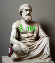 Load image into Gallery viewer, å.net