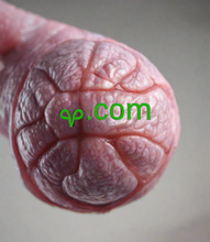 Cargar imagen en el visor de la galería, ࡔ , ࡔ.com, What domain name has the furthest paid-till date? Domains can be registered for 10 years maximum at one time, so the furtherest registration would be 10 years and would apply to new domain names every day. Can a website have 2 domain names? Yes, indeed it can. Why is a .com domain name desirable over others?