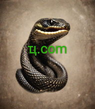 Load image into Gallery viewer, ҵ, ҵ.com, Техники оптимизации однобуквенных доменов, Улучшение присутствия однобуквенных доменов, Усиление SEO для однобуквенных доменов, 短域名交易, 一文字ドメインのSEO戦略 , 短縮ドメイン , 短いドメイン , コンパクトドメイン , 人気の短縮ドメイン , 短いURL , 人気の短いドメイン , シンプルドメイン , 短い文字ドメイン , クールな短縮ドメイン , ブランド短縮ドメイン , ショートドメイン登録 , ユニークな短縮ドメイン , 使いやすい短縮ドメイン , 2-5org