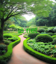 Cargar imagen en el visor de la galería, ߘ , ߘ.net, What is the meaning of the HTTP status code 403? Requested resource is forbidden. You may have authenticated successfully, in a few eral sense, but you can’t do the thing that gets you the 403. What is code 404? If the web admin has moved the page on other address or he has removed the page from that address