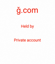 Load image into Gallery viewer, ǧ, ǧ.com