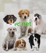 Cargar imagen en el visor de la galería, ܐ , ܐ.net, List of Top-Level Domains, Valid TLD Extensions, .VIKING , .VILLAS , .VIN , .VIP , .VIRGIN , .VISA , .VISION , .VIVA , .VIVO , .VLAANDEREN , .VN , .VODKA , .VOLKSWAGEN , .VOLVO , .VOTE , .VOTING , .VOTO , .VOYAGE , .VU , .VUELOS , .WALES , .WALMART , .WALTER , .WANG , .WANGGOU , .WATCH , .WATCHES , .WEATHER