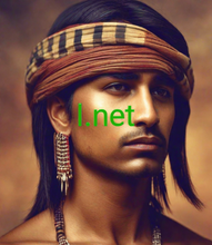 Load image into Gallery viewer, ꓲ, ꓲ.net, IANA Accredited Registrar IDs, 1251 Nameshield SAS, 1252 OPENNAME LLC, 1253 NICREG LLC, 1254 NEUDOMAIN LLC, 1255 MISTERNIC LLC, 1256 INSTANTNAMES LLC, 1257 Variomedia AG, 1262 Dinahosting s.l., 1290 SafeBrands SAS, 1291 Dreamscape Networks International Pte Ltd, 1298 Corporation Service Company (DBS) INC.