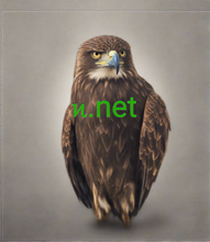 Cargar imagen en el visor de la galería, ͷ, ͷ.net, 2-5.org is in the business of opening doors to online success. We make it possible for anyone to create a winning web presence – by providing short & easy domain names. What are the common internet scams and how to avoid them? What is the impact of the internet on society and communication?