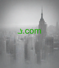 Load image into Gallery viewer, ݏ , ݏ.com, IANA Accredited Registrar IDs, 418 CommuniGal Communication Ltd., 420 Alibaba Cloud Computing (Beijing) Co., Ltd., 430 CORPORATION SERVICE COMPANY (UK) LIMITED, 431 DreamHost, LLC, 433 OVH sas, 437 SiteName Ltd., 440 Wild West Domains, LLC, 444 Inames Co., Ltd., 447 SafeNames Ltd., 450 DomainName.com, Inc.