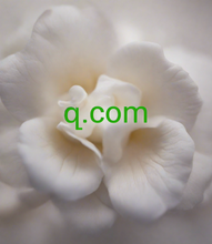 Cargar imagen en el visor de la galería, զ, զ.com, List of ICANN Accredited Registrars; DomainTact LLC, Domaintimemachine.com LLC, DomaintoOrder, LLC, Domainwards.com LLC, Domainyeti.com LLC, Domdrill.com, LLC, Domeneshop AS dba domainnameshop.com, Dominion Domains, LLC, Domraider SAS, DomReg Ltd. d/b/a LIBRIS.COM, Domus Enterprises LLC dba DOMUS