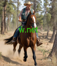 Load image into Gallery viewer, ẘ, ẘ.net, Search & Find Available Short Domains, What is in a domain name? What is an example of a domain name? What is name and domain name? How do you get a domain name? Domain Name Search – Check and Find a Short Domain In Minutes, Domain name vs. URL, Google domains alternative, Godaddy alternative, Tucows alternative