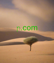 Cargar imagen en el visor de la galería, ꞃ, ꞃ.com, Bii o ṣe le wa orukọ ìkápá kukuru kan? Wiwa orukọ ašẹ kukuru & Oluwari. Kini àtúnjúwe DNS? Àtúnjúwe DNS kan gba ọ laaye lati tọka orukọ ìkápá kan si omiiran, iyọrisi abajade kanna bi ẹnipe o ti yi awọn olupin orukọ agbegbe atilẹba rẹ pada. Ṣatunṣe agbegbe kukuru kan si agbegbe miiran nipa lilo 2-5.org