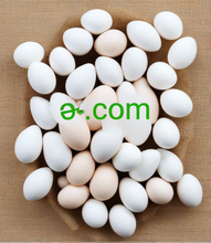 Cargar imagen en el visor de la galería, ɚ, ɚ.com, Ганц тэмдэгт, 1 үсэг, богино, өвөрмөц, дээд зэрэглэлийн домэйн нэр. Collaborer avec des experts en noms de domaine ou des leaders du marché peut vous apporter du soutien et vous ouvrir de nouvelles opportunités, vous aidant à atteindre vos objectifs et à construire une présence en ligne solide. 2-5.org, 25org