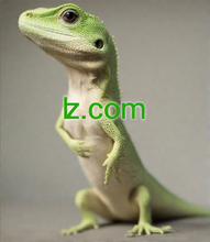 Load image into Gallery viewer, ʫ, ʫ.com, What is Web 3? Web3 (also known as Web 3.0) is an idea for a new iteration of the World Wide Web which incorporates concepts such as decentralization, blockchain technologies, and token-based economics. What are the ways to monetize my website? How to create an effective landing page for my website?