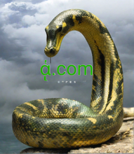 Cargar imagen en el visor de la galería, ᾁ, ᾁ.com, Domeinen mei ien letter, domeinnammen fan 1 karakter, Ien sifer - Seldsum - Unik - Koart - Profesjoneel - Premium en Generic domeinnammen op topnivo binne frijjûn mei .com & .net tafoegings, How to set up and manage an email account on the internet? What are the different online communication tools available?