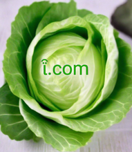 Load image into Gallery viewer, ῗ, ῗ.com, يەككە ھەرپ دائىرىسى ، 1 ھەرپ تور نامى ، بىر خانىلىق - ئاز ئۇچرايدىغان - ئۆزگىچە - قىسقا - كەسپىي - ئالىي دەرىجىلىك ۋە ئادەتتىكى يۇقىرى دەرىجىلىك تور نامى .com & .net كېڭەيتىلمىسى بىلەن تارقىتىلدى. Developing countries domains, Labor market domains, Government regulation domains, Business cycle domains