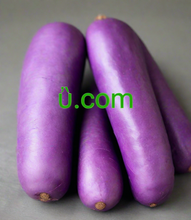 Cargar imagen en el visor de la galería, ὒ, ὒ.com, IDN domene, višejezični nazivi domena, *Najveći promet *Solidan SEO *Prilagođene poddomene *Profesionalna usluga e-pošte *Jedinstveni IP *Snažna privatnost i zaštita *Besplatni DNSSEC *Brza, sigurna i pouzdana infrastruktura *Bolji ROI *7/24 Podrška, Compatible for Yandex Browser, Safari Technology Preview