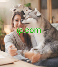 Load image into Gallery viewer, ῳ, ῳ.com, IDN domene, večjezična imena domen, *Največji promet *Soliden SEO *Poddomene po meri *Profesionalna e-poštna storitev *Edinstveni IP *Močna zasebnost in zaščita *Brezplačni DNSSEC *Hitra, varna in zanesljiva infrastruktura *Boljši ROI *7/24 Podpora