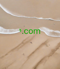 Cargar imagen en el visor de la galería, יּ , יּ.com, Ein-Buchstaben-Domain, Ein-Zeichen-Domain, Ein-Ziffern-Domain, Die einzigartigsten Domainnamen, Aktive Domains, Domainnamenkatalog, IDN-Domains, Was ist Reverse Auction? Domainarchiv, Premium-Domainnamen, generische Domainnamen, die besten Domainnamen, Super-Domainnamen