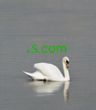 Cargar imagen en el visor de la galería, ڪ.com