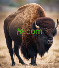 Load image into Gallery viewer, ࠀ , ࠀ.com, Einföld verðlagning, aukahlutir innifalinn, hraði, öryggi, stuðningur, .com og .net, gæði mæta áreiðanleika, fagverkfæri, kraftmikið DNS, tilbúnar skrár, TTL stillingar, allt að 100 undirlén, allt að 100 samheiti netföng, eitt -Smelltu á DNSSEC, Privacy Protection og fleira á 2-5.org