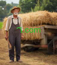 Load image into Gallery viewer, ࠂ , ࠂ.com, シンプルな価格設定, 追加料金が含まれています, スピード, セキュリティ, サポート, .com と .net, 品質と信頼性, プロフェッショナル ツール, ダイナミック DNS, 合成レコード, TTL 構成, 最大 100 個のサブドメイン, 最大 100 個のエイリアス メール アドレス, 1 つ-2-5.org で DNSSEC、プライバシー保護などをクリックします。